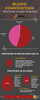 Proteins in Blood Infographic - NuSep Store