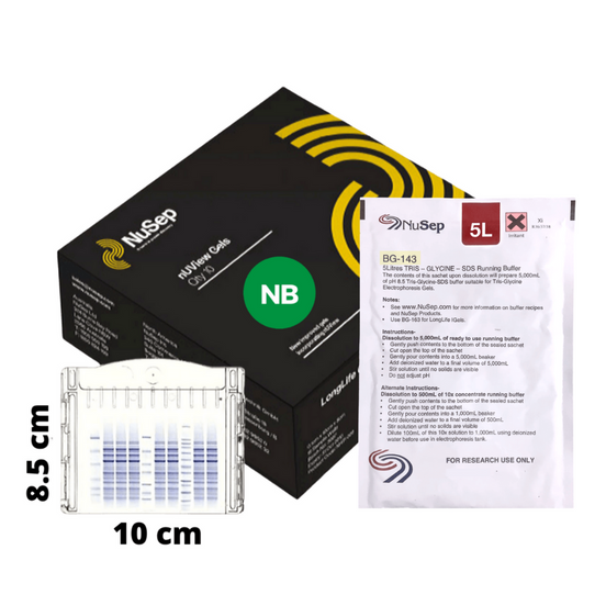 nUView™ Tris-Glycine UV reactive Precast Gel (NB)(Bio-Rad)