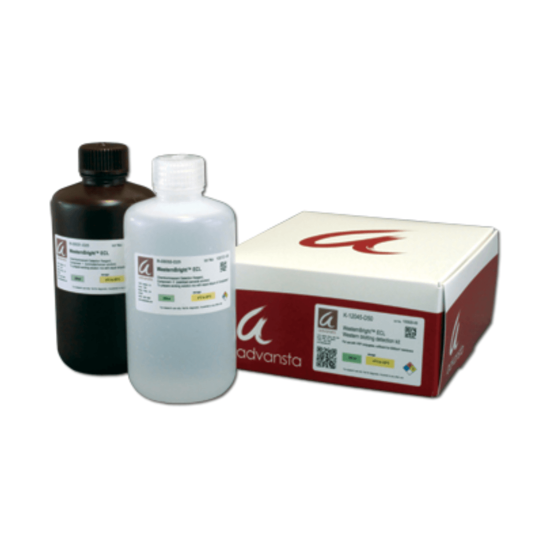 ECL Kit – NuSep